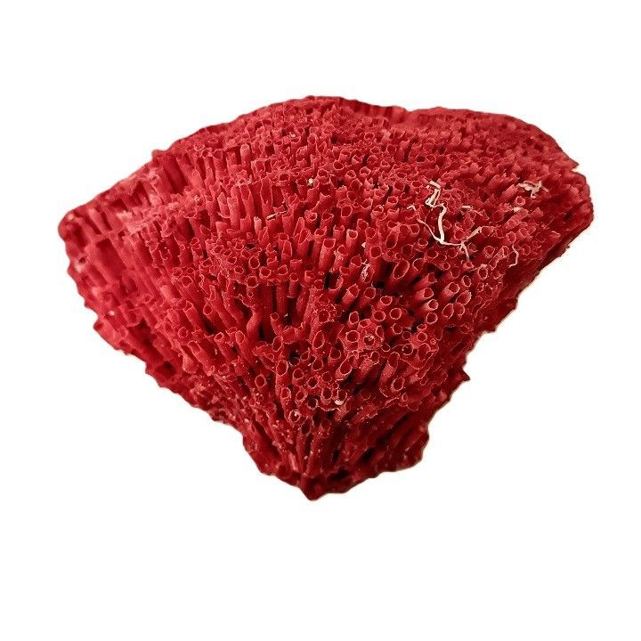 珊瑚　珊瑚礁　赤珊瑚　パイプオルガン珊瑚　置物 サンゴ礁 珊瑚礁 パイプオルガン珊瑚 珊瑚 サンゴ 赤珊瑚 管珊瑚