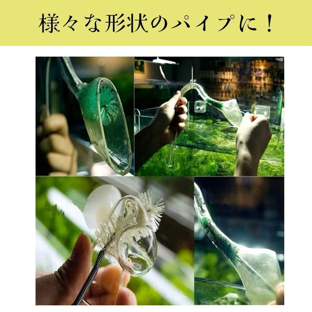 妻の作った インドウシガエルの蓋もの シュガーポット カエル 陶芸