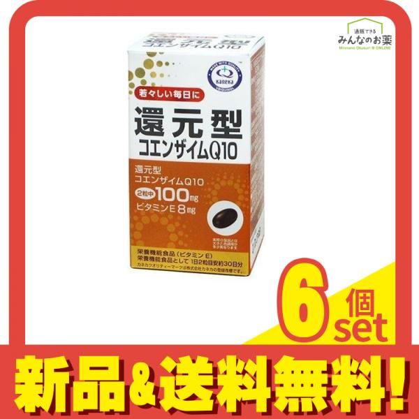 裁断済み はじめてのウサギの画像診断 ひと目でわかる検査・読影