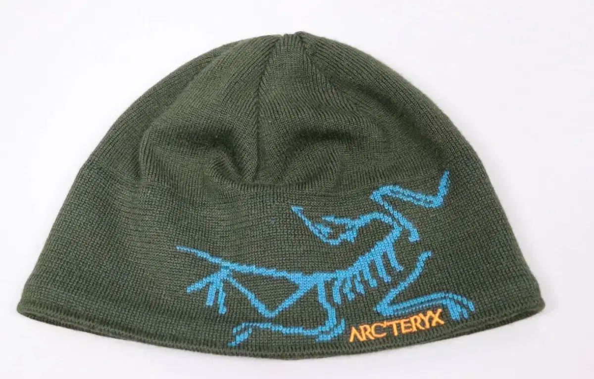 os ビンテージ ARC TERYX アークテリクス バードヘッドトーク 旧モデル カラー