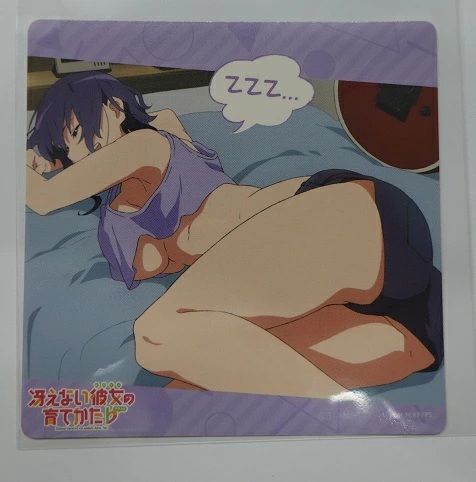 アニメムック　不備有)冴えない彼女の育てかた 深崎暮人ジャケットイラスト A3プリモアート G(状態：本体汚れ・割れ有) 駿河屋 -<中古>冴えない彼女の育てかた 深崎暮人ジャケット