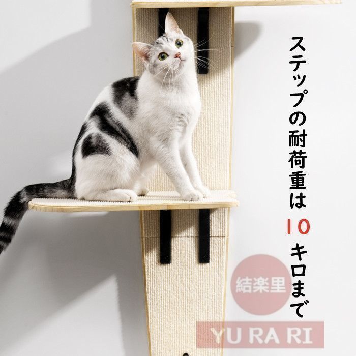 キャットウォーク 猫ステップ