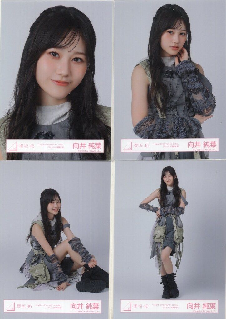 生写真(乃木坂46)/アイドル/櫻坂46 向井純葉/座り/櫻坂46