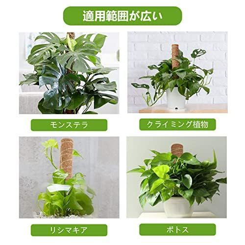 lanzoub 園芸支柱 4本セット 観葉植物モンステラ 痛かっ 支柱 植物支柱 園芸支柱パーツ 観葉植物 ココナッツ支柱 ガーデニング用支柱 植物サポート  フラワースタンド 花支え 延長可能 水分・養分維持 植物成長 耐久 使いやすい 農業用 園芸用 (4個 全長30cm）)