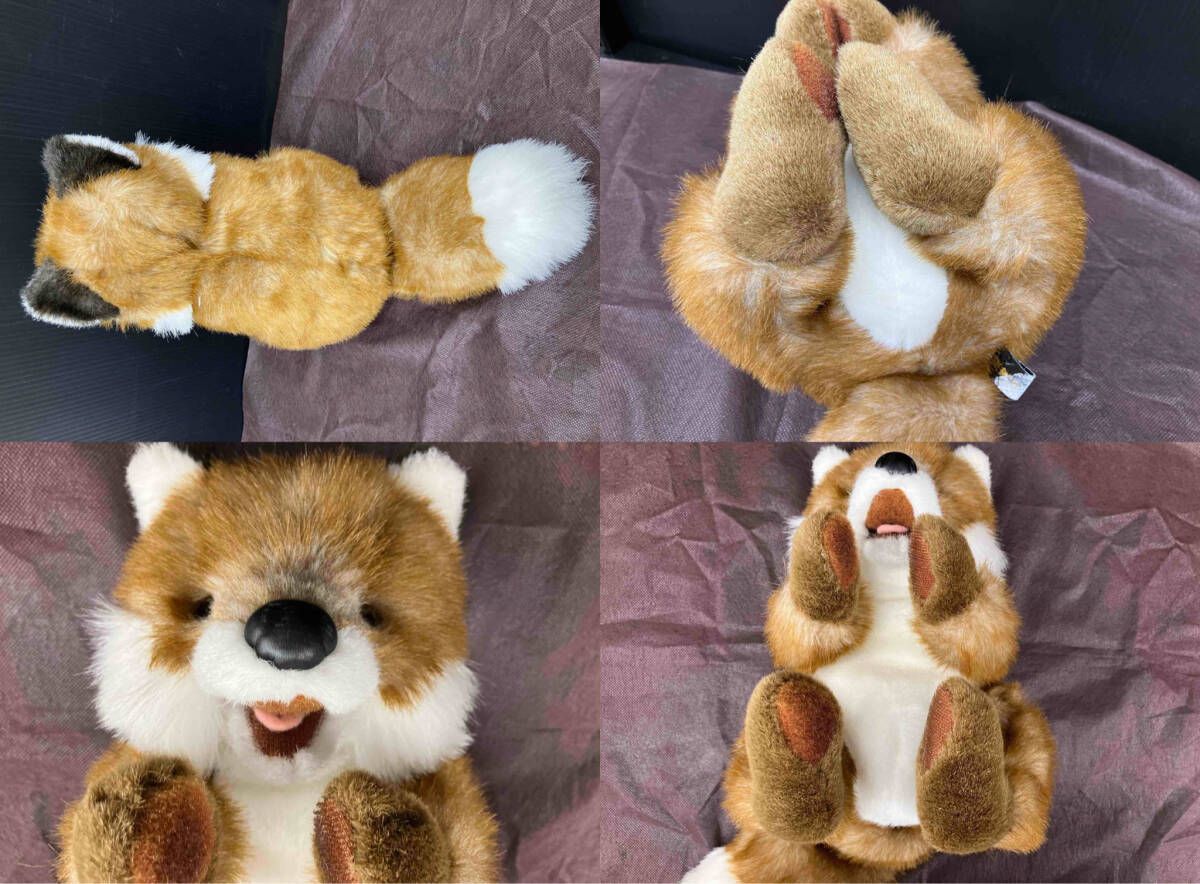 現状品 SDH 北海道 キタキツネ ぬいぐるみ - メルカリ