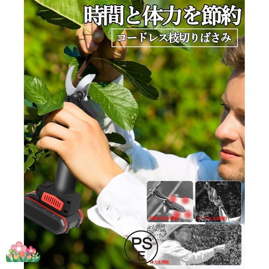 大容量バッテリー2個付き