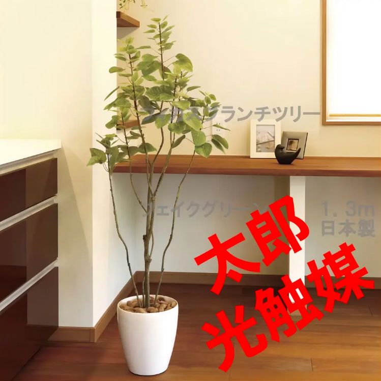 Funderful 人工観葉植物 光触媒 グリーンフィカス 160cm - 造花・人工植物