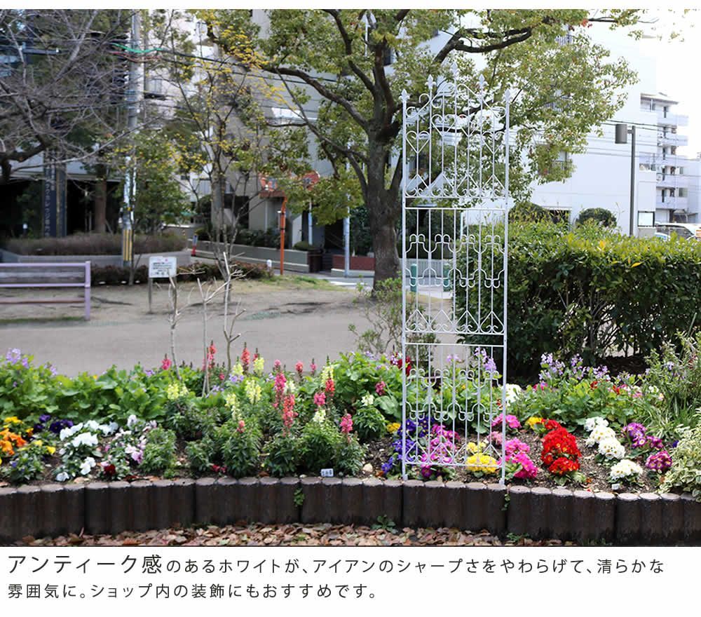 ハイタイプ