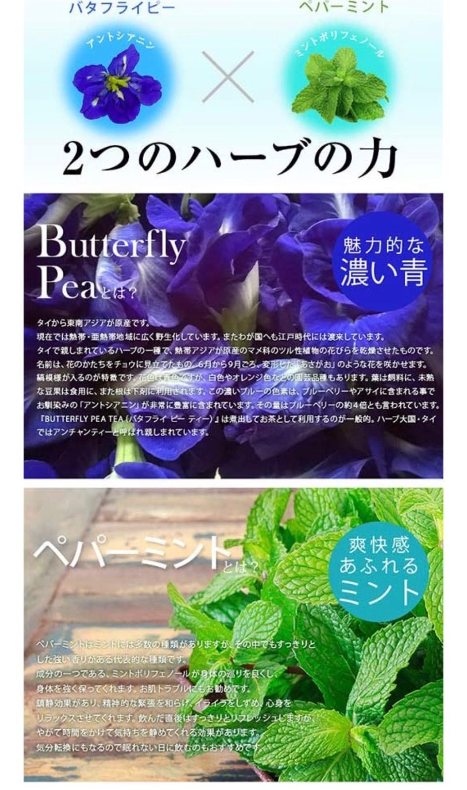 \ 訳あり特価‼️‪ / たっぷり60包 さらにクーポンあります❣️1包7カップ分 スッキリ爽やか 60包 ミント 🌱 🍋 バタフライピー レモングラス ミント バタフライピーティー 飲む日焼け止め❣️アントシアニン ポスト投函 Commpro