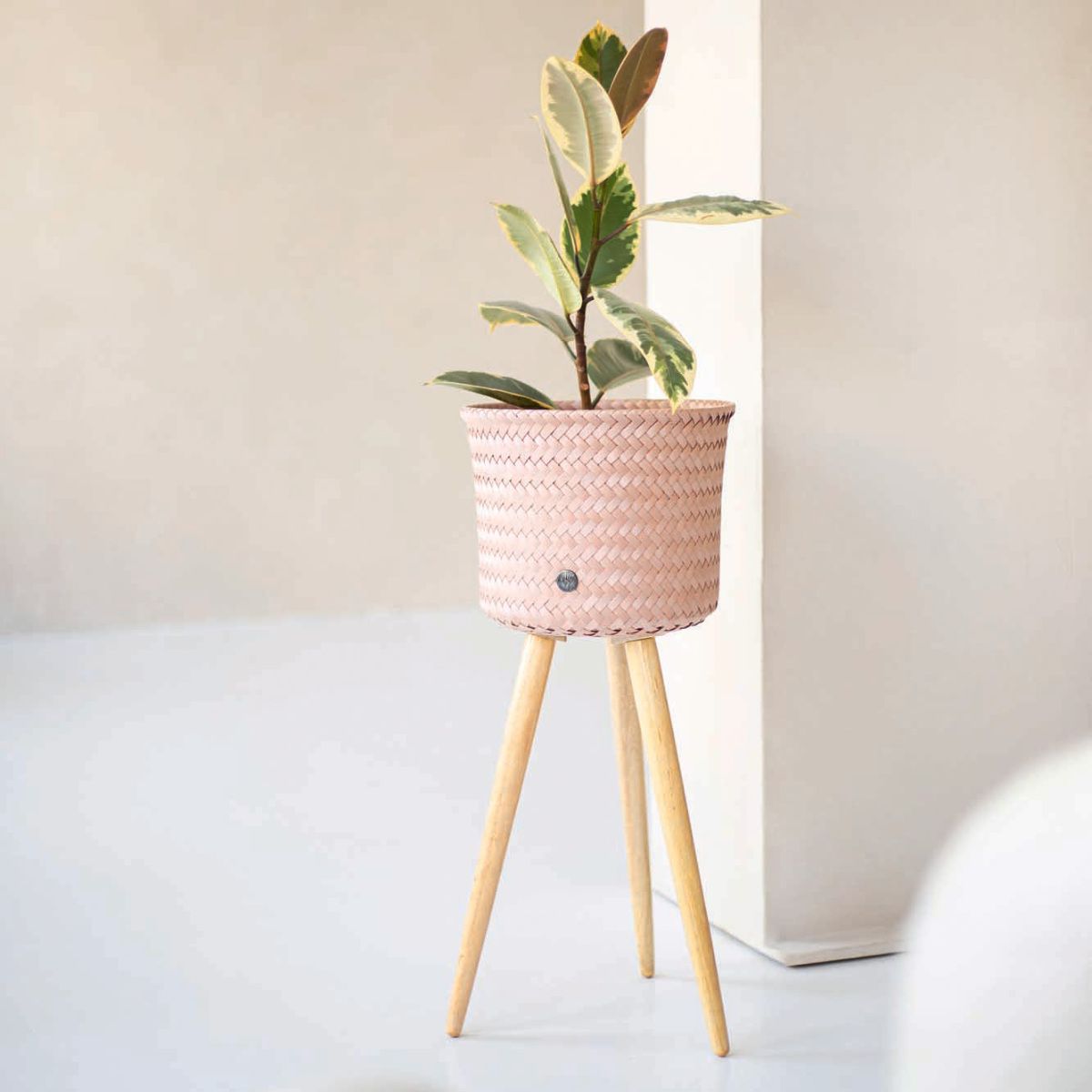 ウェッジウッド　コロンビア　パウダールビー　ディナープレート　22.5cm プランター カバー HandedBy UP HIGH （ プランターカバー 鉢カバー