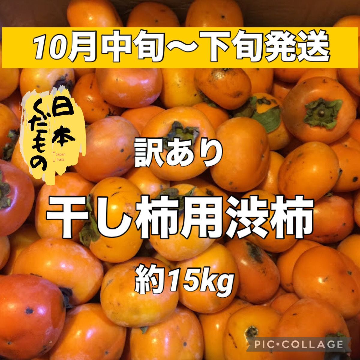 大容量！約15kg 訳あり 山形県産干し柿用渋柿 家庭用 商品説明お読みください - メルカリ