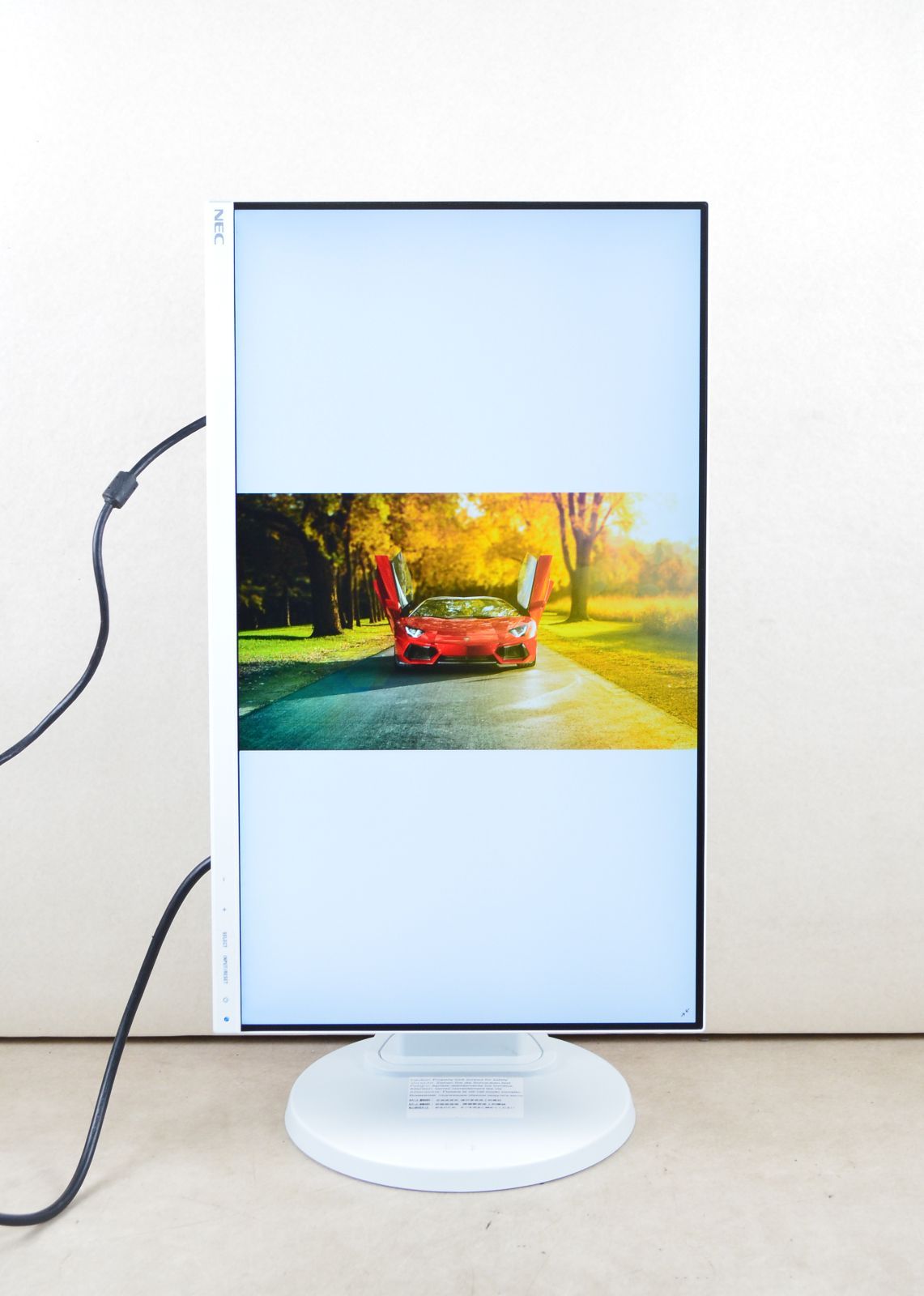 NEC LCD-E221N-C 21.5インチ ワイド液晶モニター フルHD対応 動作確認済 遠