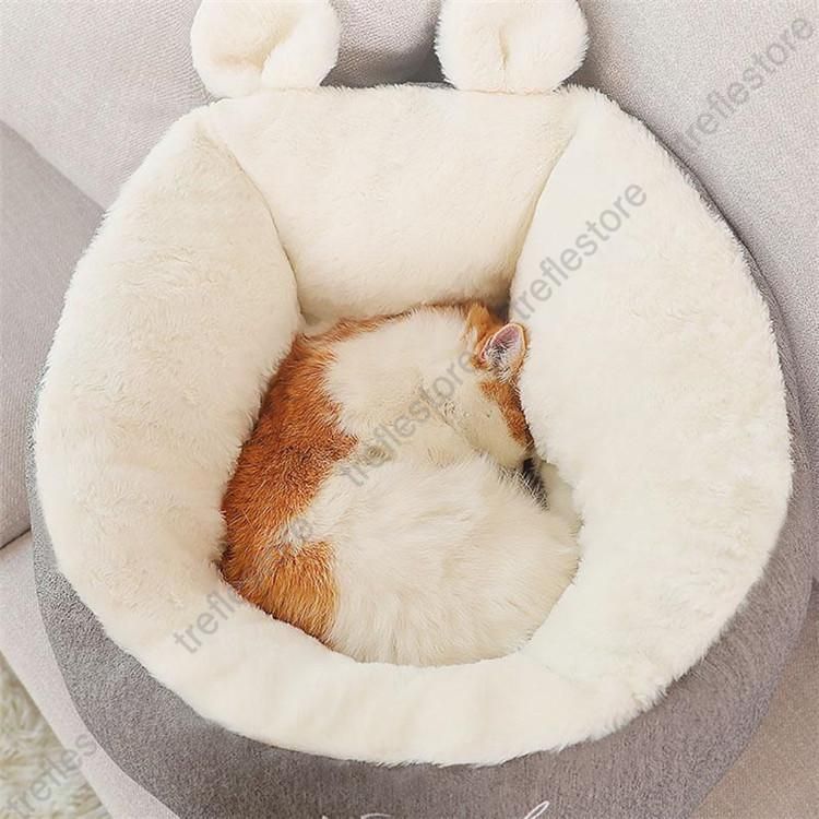 キャットハウス