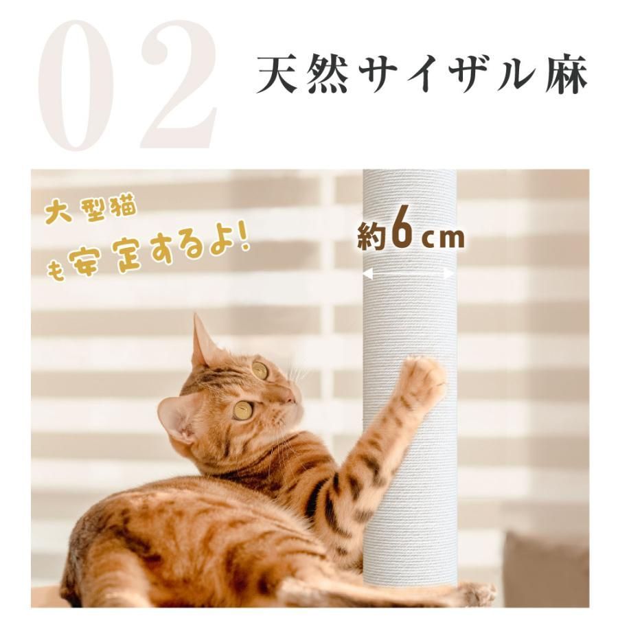 多頭飼い 爪とぎ