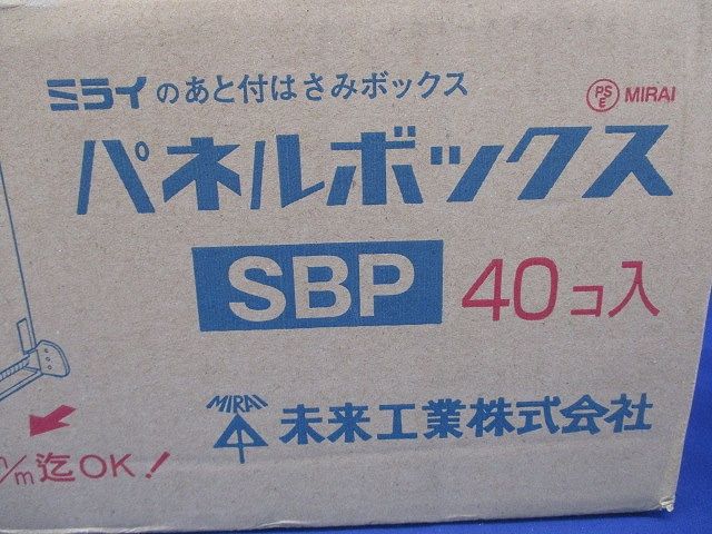 40個入