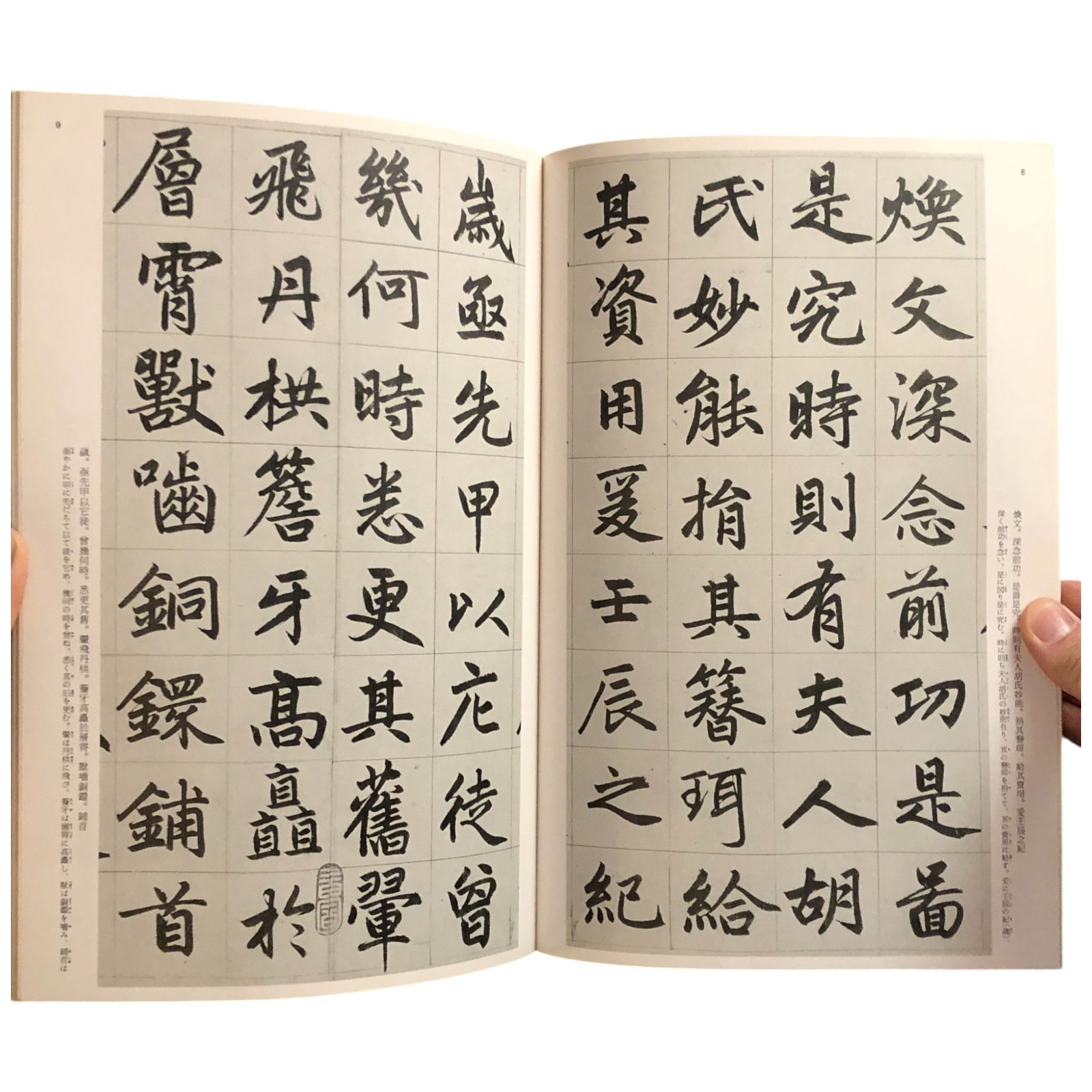 中国法書選49 懋孟?集 元 大野修作/福本雅一/中川憲一 二玄社