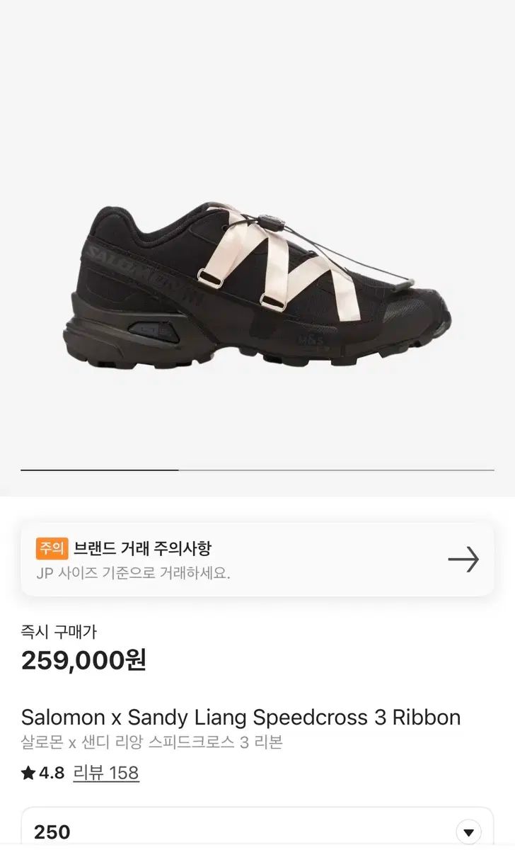 SALOMON サロモン Sandy Liang サンディーリアン 250