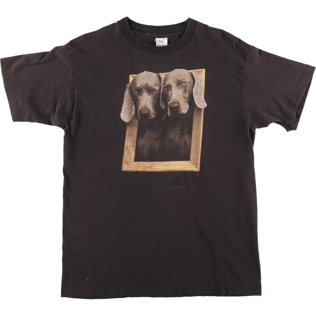 古着 90年代 フルーツオブザルーム FRUIT OF THE LOOM WILLIAM WEGMAN 