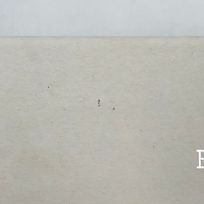 アイウェア サングラス