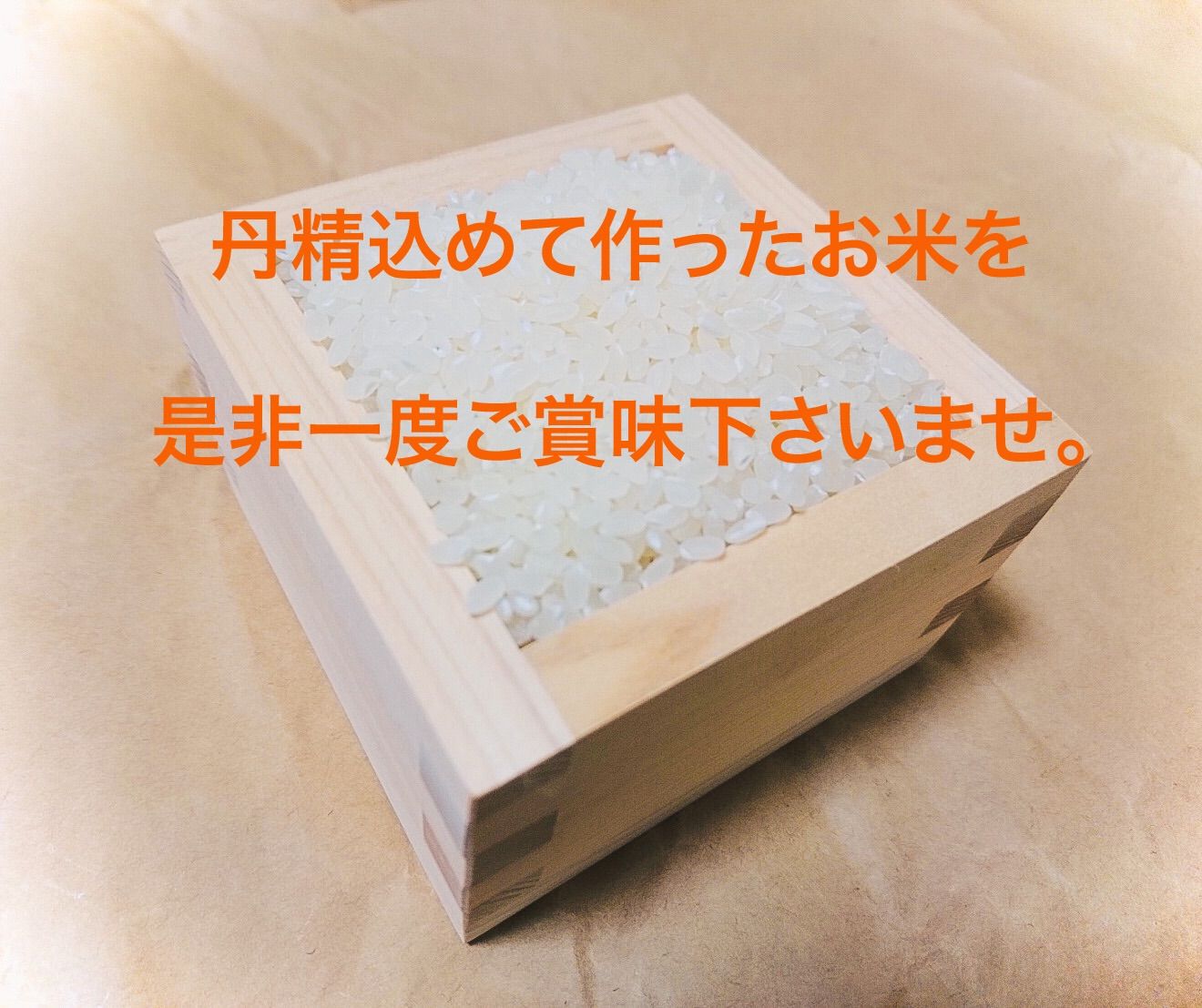 農家直送！令和５年産 はえぬき 山形県庄内産 白米２０ｋｇ 新米