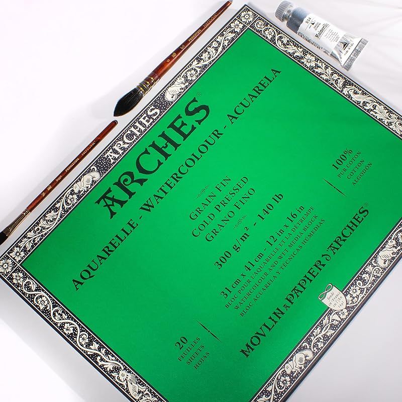 アルシュ 水彩紙 ブロック 300g細目31X41 20枚 0