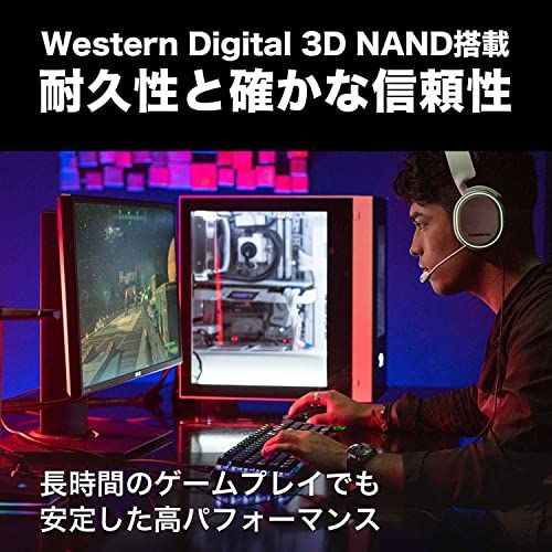 1TB_ヒートシンクなし Western Digital ウエスタンデジタル WD BLACK M