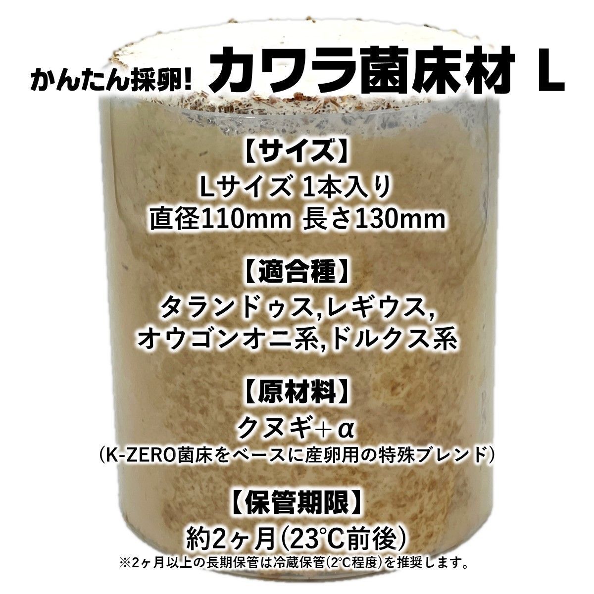 クワガタ 産卵木