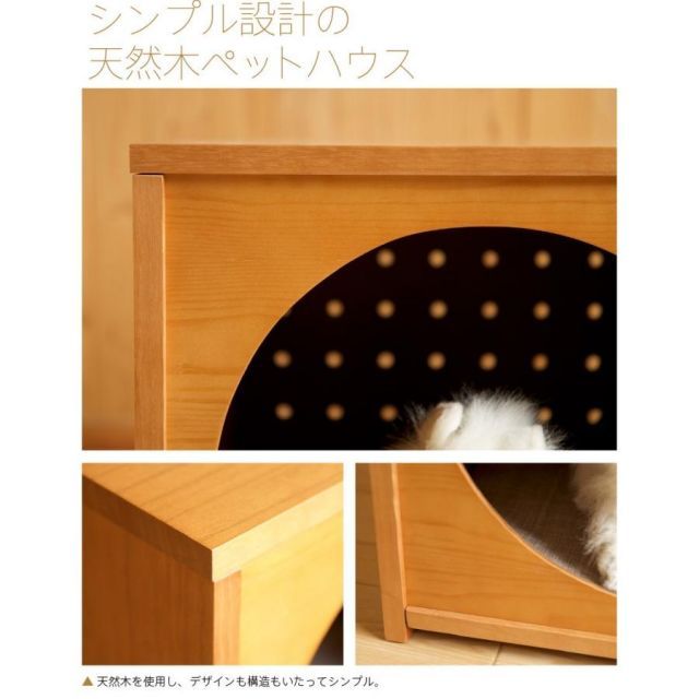 室内 犬