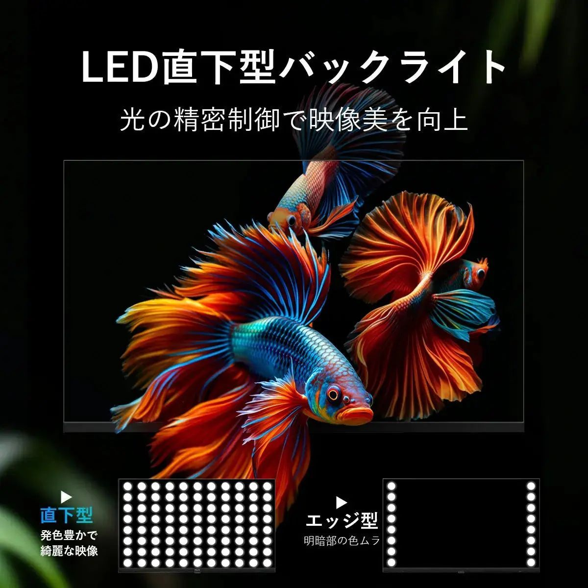 期間限定15％OFF/リユース品】PHILIPS コレクション チューナーレス