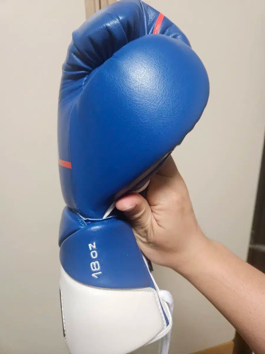 ライバルボクシンググローブ RIVAL RS100 14オンス ボクシンググローブ