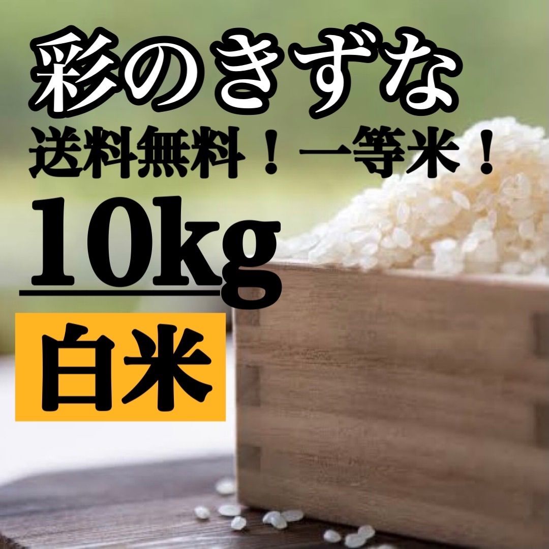 白米 10kg 彩のきずな 新米 埼玉県産 令和5年産 送料無料 米 10キロ