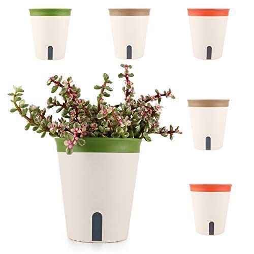 直径：13CM T4U 植木鉢 底面給水鉢 プラスチック プランター 自動給水 観葉植物鉢 ハーブ鉢 丸型 室内栽培向け 直径13cm 6点セット