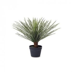 5営業日で発送 ポッシュリビング 81125 ユッカ