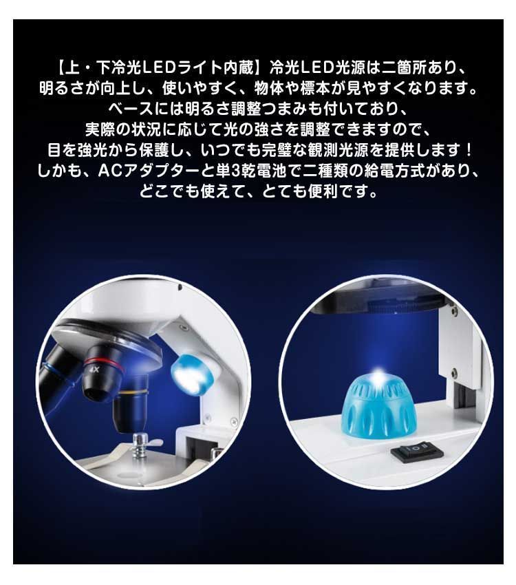 標本スライド