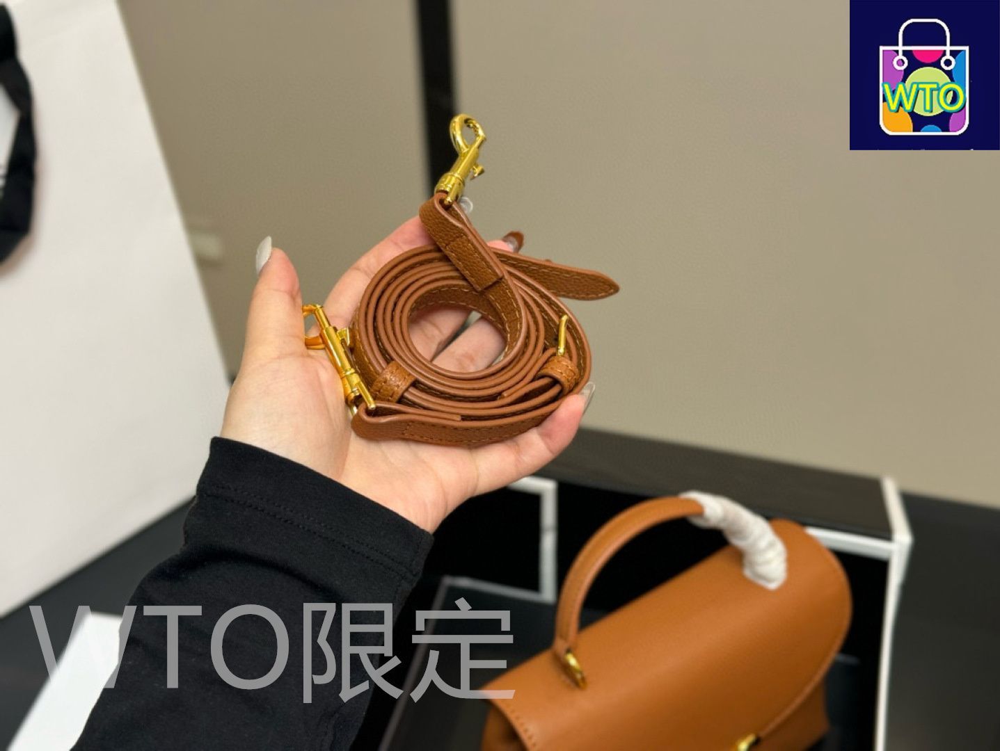 CELINE オノリン ミニ バッグ 上品かつ象徴】CELINE ティーンオノリンバッグ ≪トリオンフ