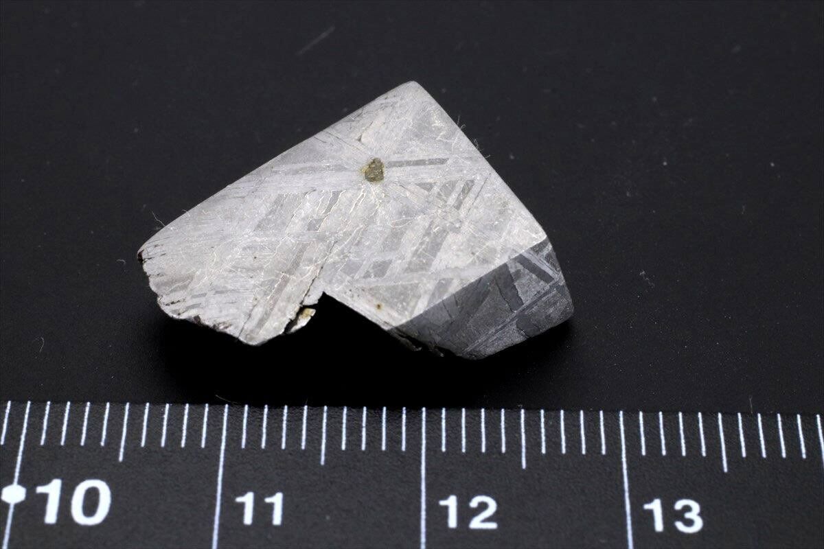 ムオニオナルスタ隕石スライス174.8g-