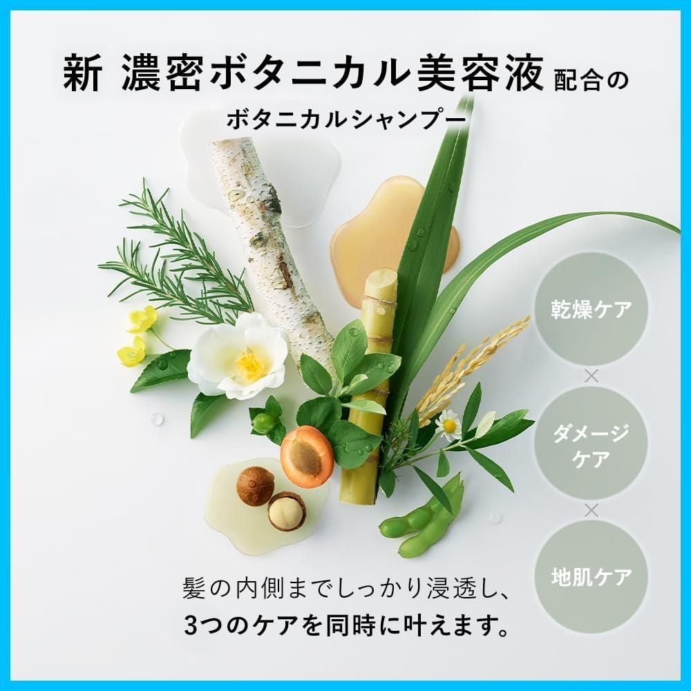 | シャンプー