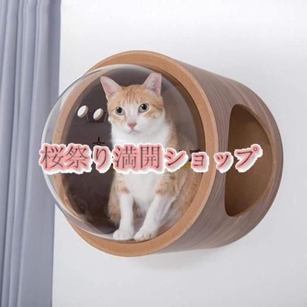 木製 宇宙船