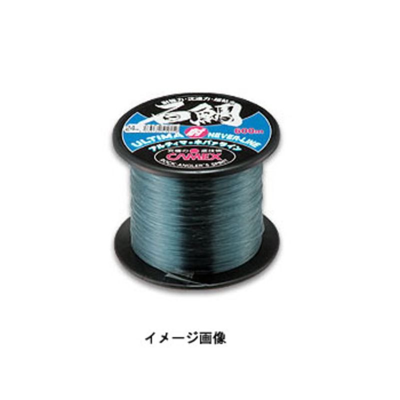 CAMEX キャメックス アルティマネバーライン大物 200m 80号
