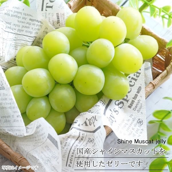 2袋】国産シャインマスカット寒天／脂質ゼロ！国産シャイン