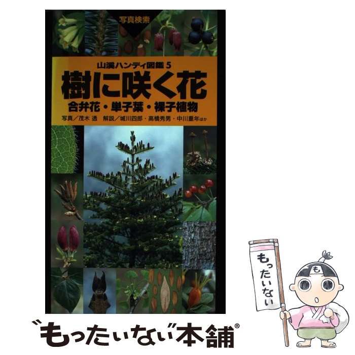 樹に咲く花 合弁花・単子葉・裸子植物 (山渓ハンディ図鑑 5