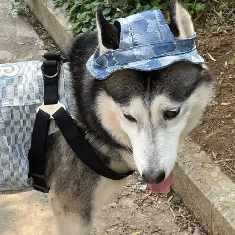 ハット 紫外線防止