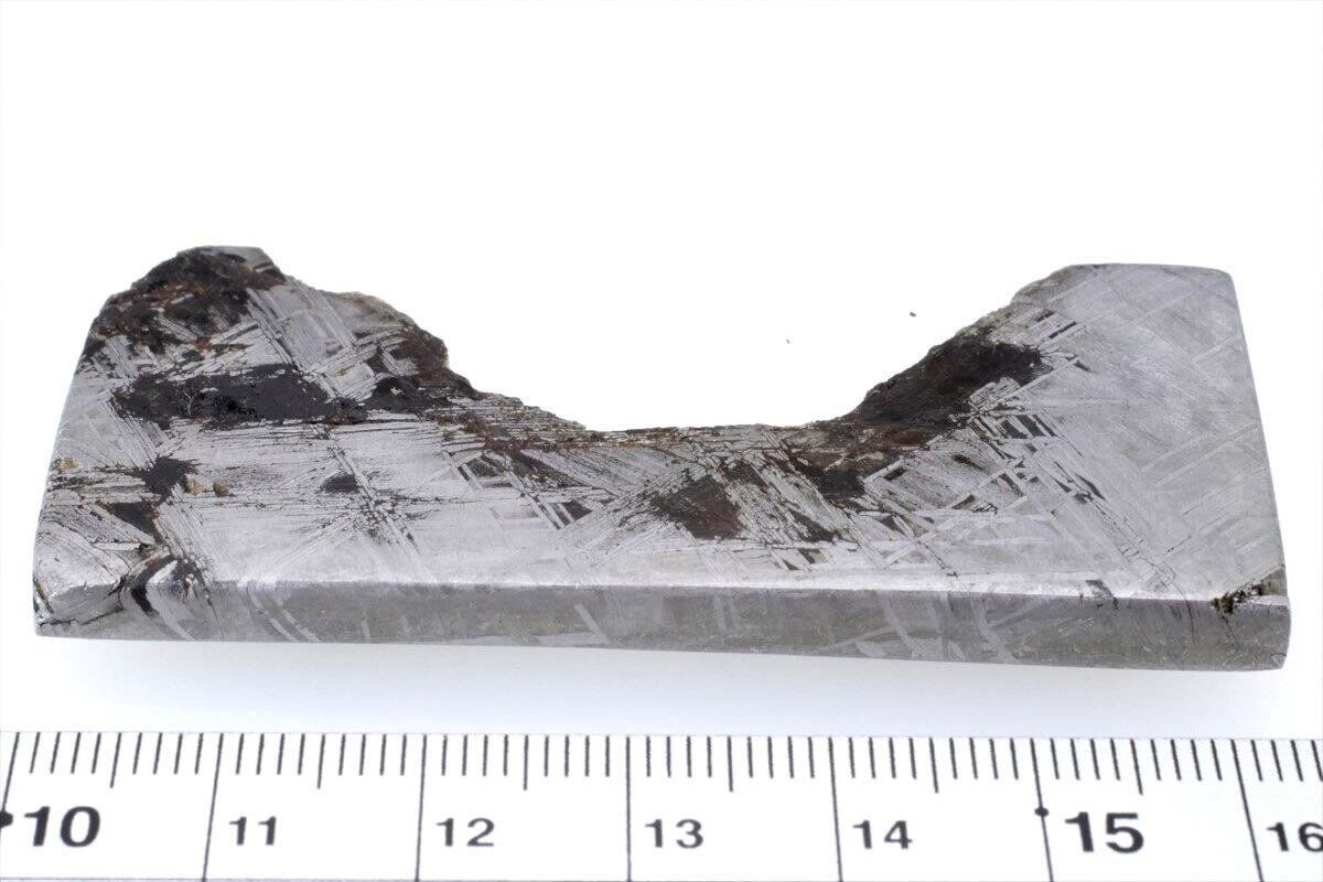 ムオニナルスタ ムオニオナルスタ 50g スライス カット 標本 隕石
