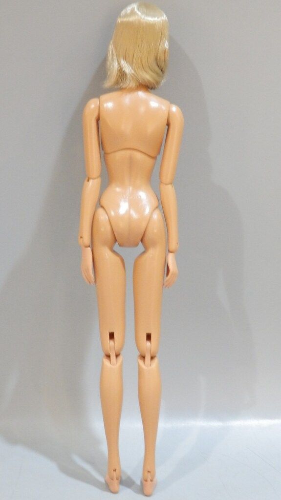 ペットワークス CCS-momoko Today s momoko アラカルト