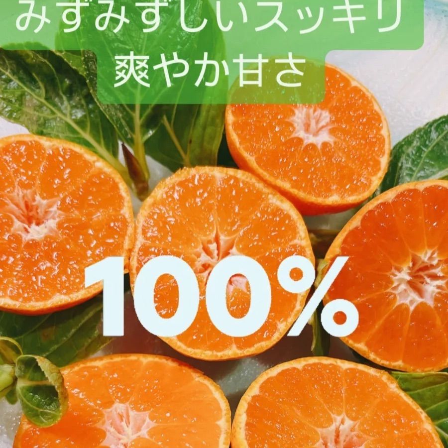 有田みかん🍊2kgＢ級品 SS〜2L甘くて美味しいよ😋 味はA級品！！