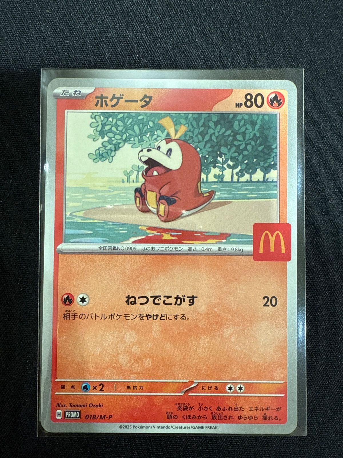 ポケモンカード ホゲータ 018/M-P マクドナルド プロモ PROMO