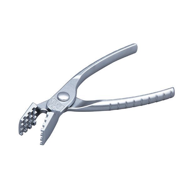 色鉛筆画 指輪(原画)