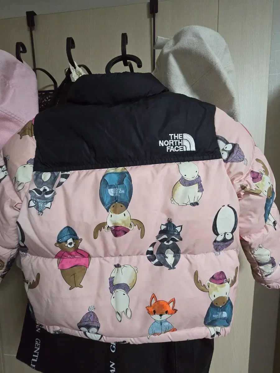 FACE ザノースフェイス