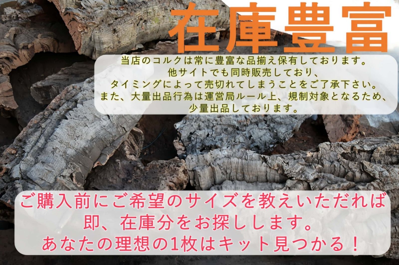 ビカクシダ