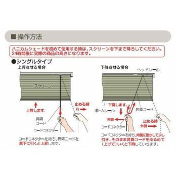 ハニカムスクリーン